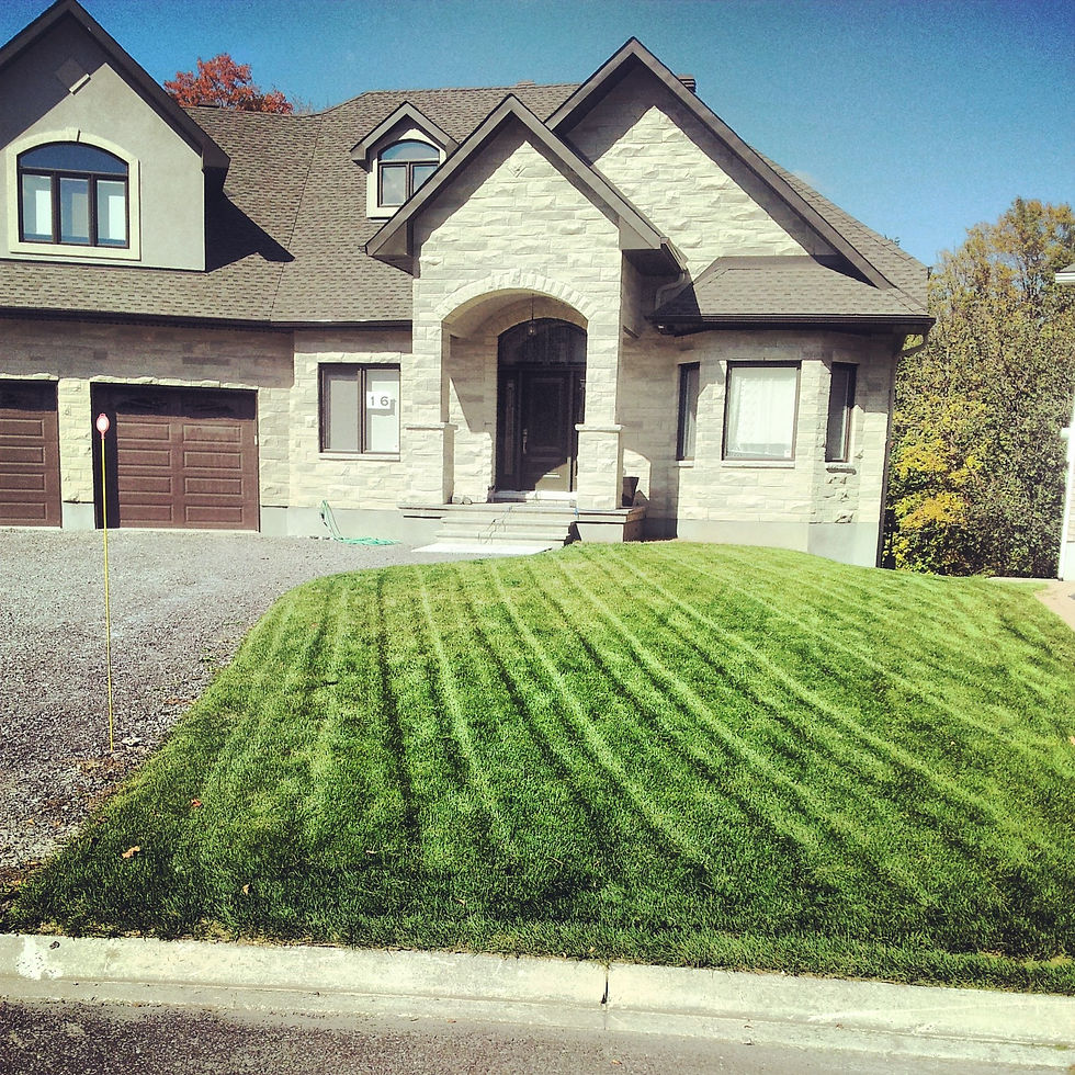Ottawa Lawn Cutting