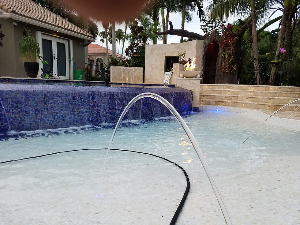 Outdoor Kitchen, Tanning Shelf, Infinity Edge, Landscaping