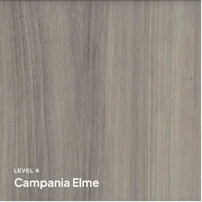 original--2815-29-1920wcampinaelm