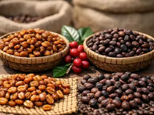 Diferencia entre café honey y natural