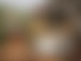 Procesos del café colombiano, de finca a taza