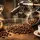 Fecha de tostión: importancia para tu café
