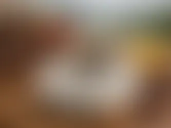 Notas sensoriales del café colombiano en tu taza