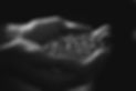 jake-buonemani-r-zHu8wSW2s-unsplash_edited.jpg