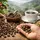 Café fresco tostado colombiano: cómo elegirlo