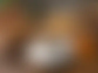 ¿Qué notas tiene un café honey?