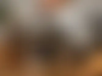 Cómo preparar café en prensa francesa