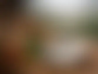 Café con identidad de origen que se siente