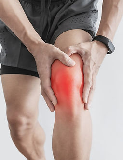 RODILLA ESTEVES