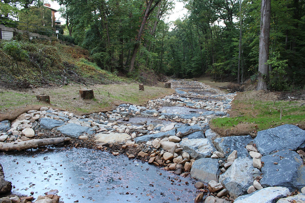 Alger Park Stream Restoration