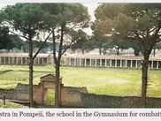 The Gymnasium: Its School For Combative Sports