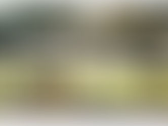 The Gymnasium: Its School For Combative Sports