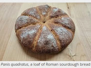 Roman Bread