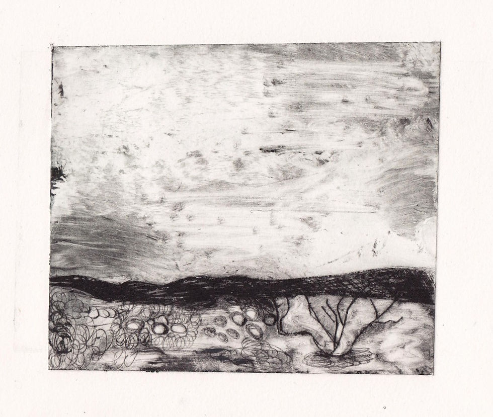 Desert Night Sketching