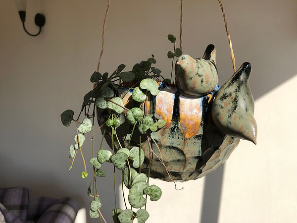Hanging plant with perching birds