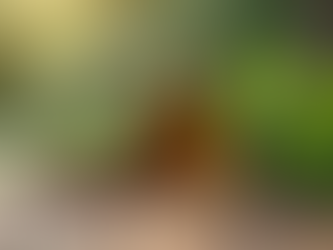 Natural Remedies for Healing Yeast Infections Effectively