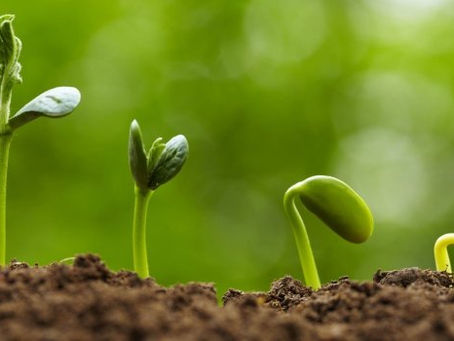 3,2,1... changements!