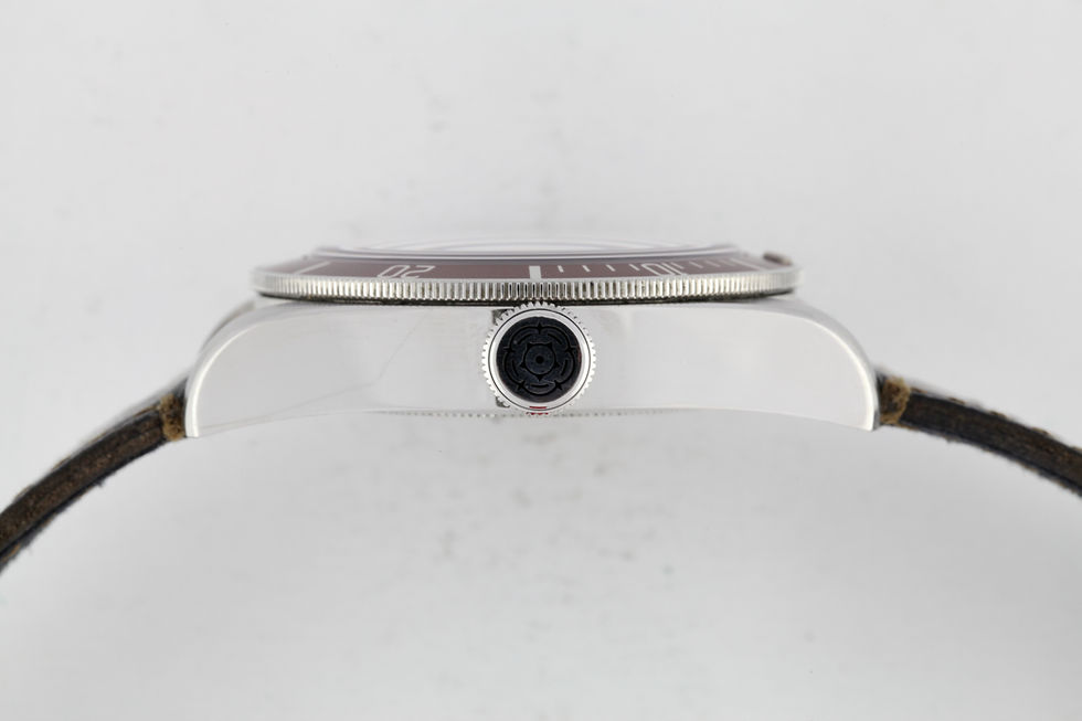 Miniature : Tudor Black Bay Rouge 79220R