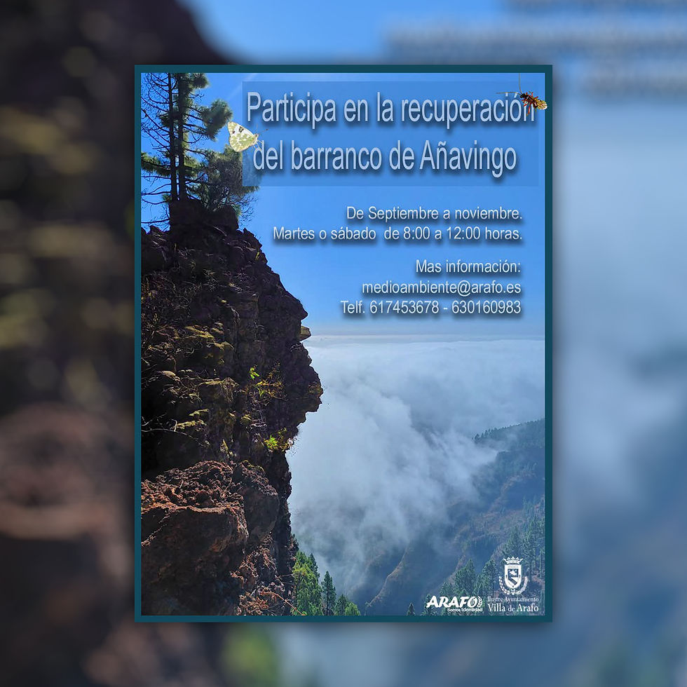 Recuperación del Barranco de Añavingo