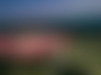 "Българска армия" грейна с цветовете на трибагреника