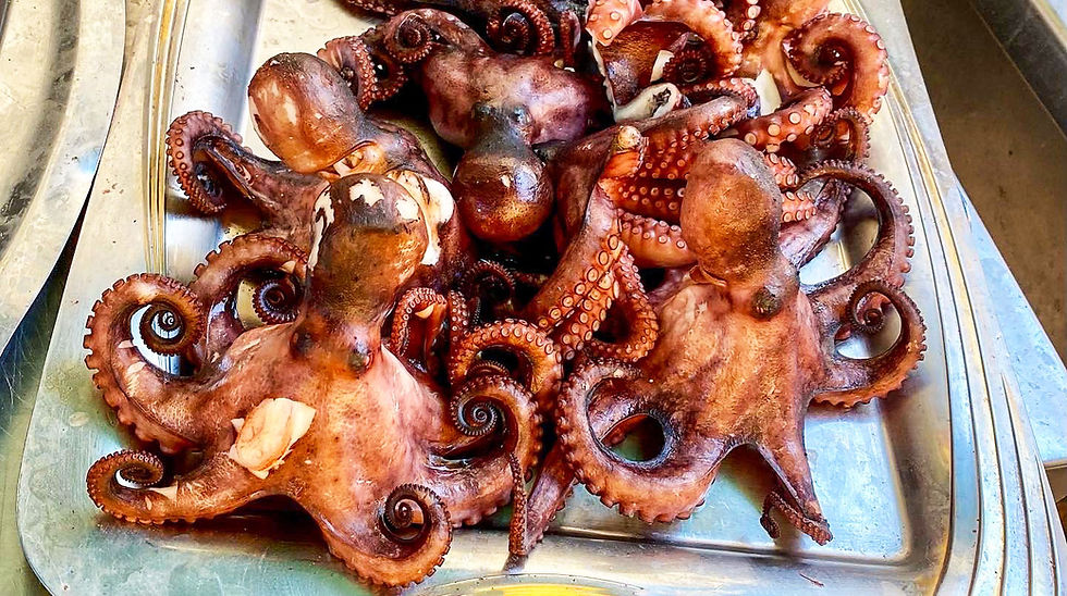 Polpo _ Love Terrasini_46.JPG