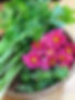 IMG_0234.jpeg