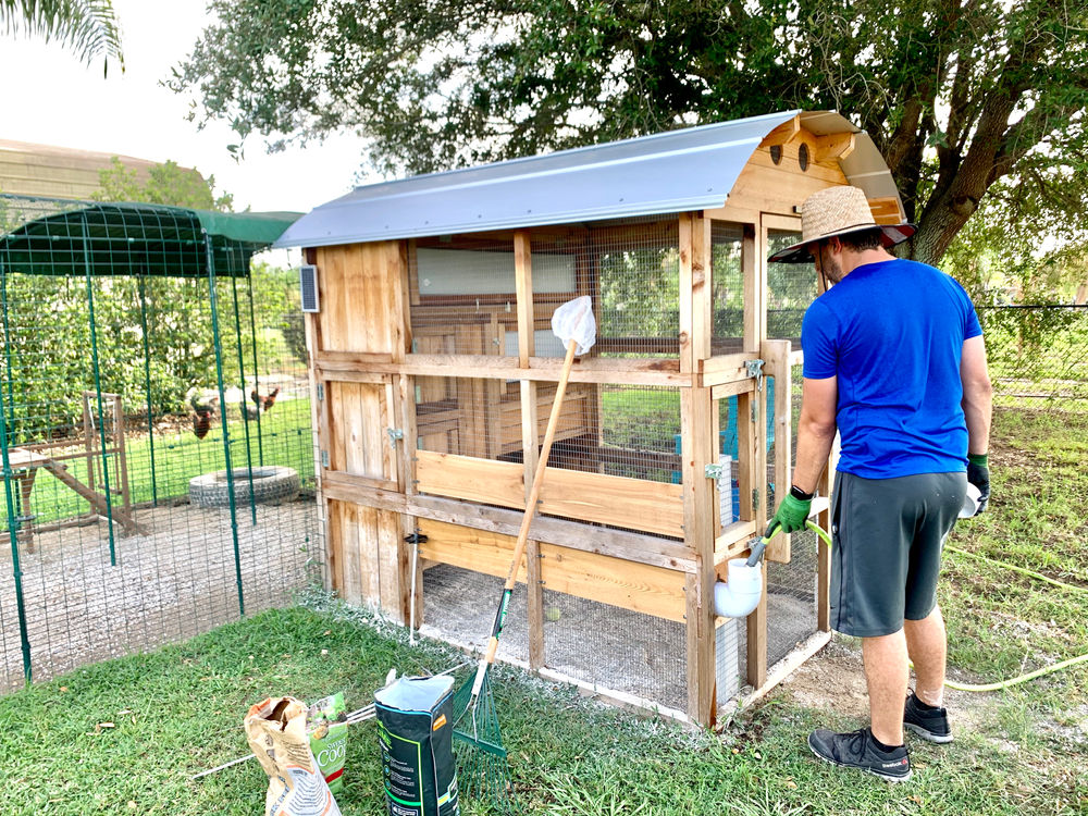 Our Chicken Coop from Roost & Root