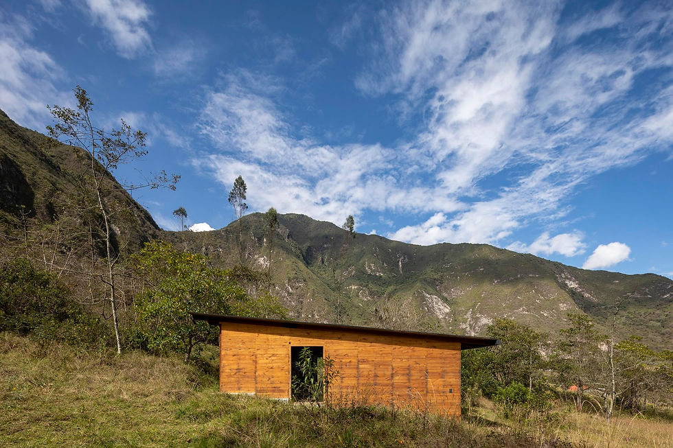 216.Turin Horse by Jorge Ramón Giacometti Taller de Arquitectura-Andrés Villota (1).jpg
