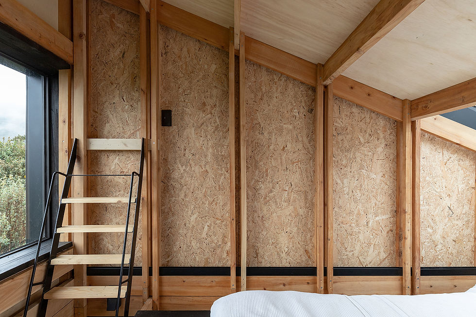 208.Arrachay 01 by Javier Mera Luna-JAG Studio (2).jpg