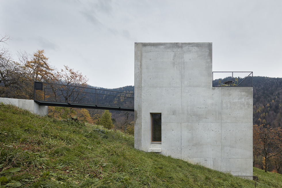 155.House Schmieder by Fischer Schmieder Architekten-Adolf Bereuter (3).jpg