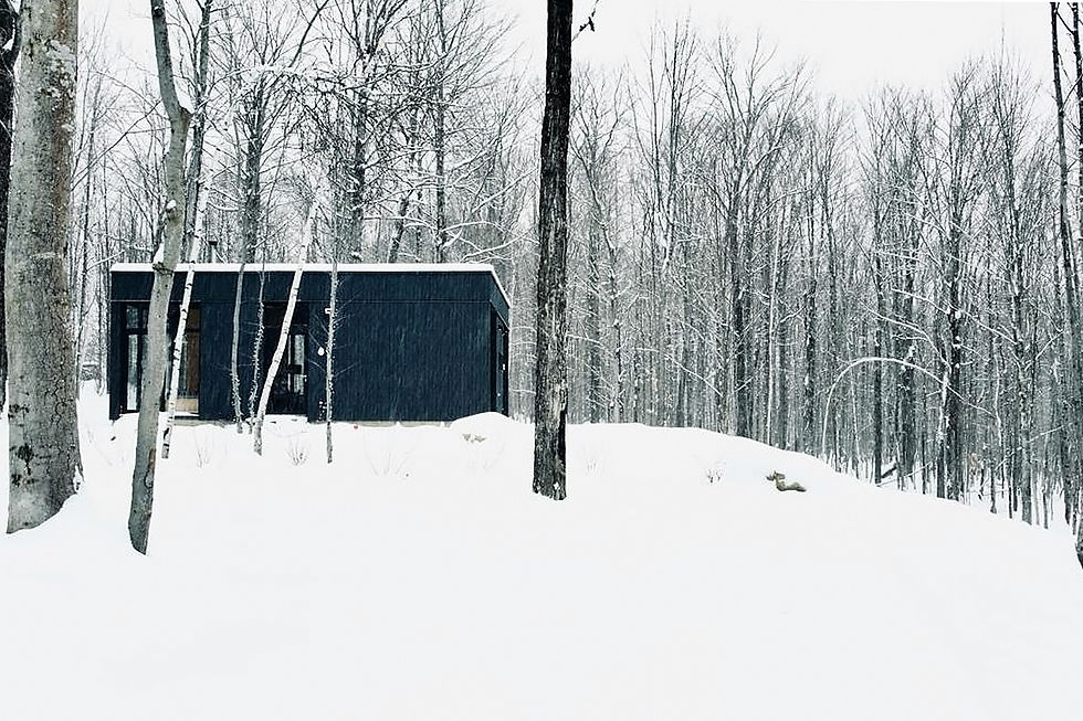 210.Casa Spinone by Jérôme Lapierre Architecte-Maxime Brouillet (3).jpg