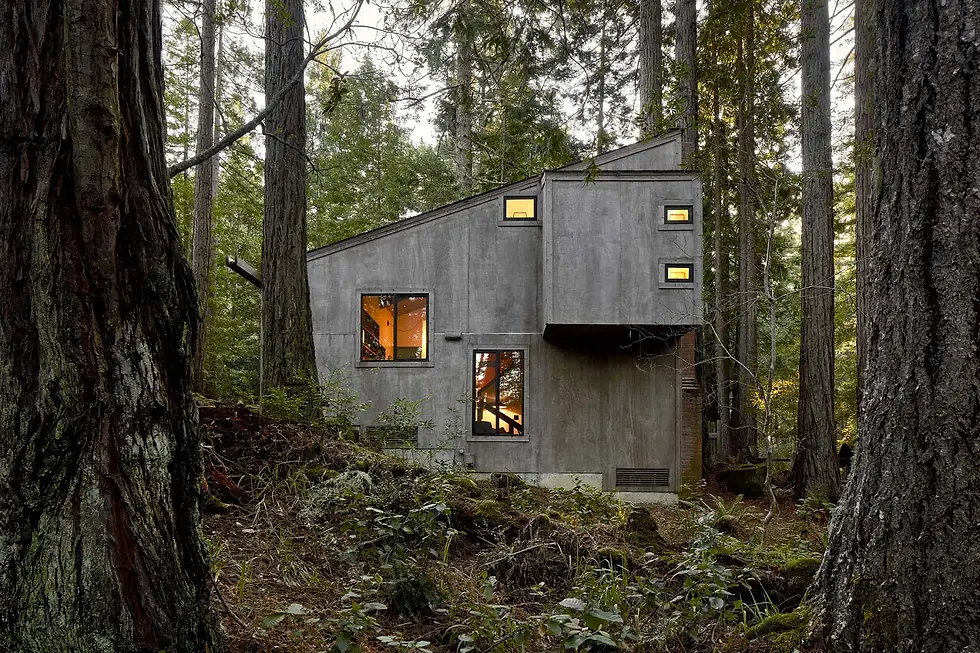 Sea Ranch Cabin-framestud-Photographer-Adam Rouse (4).webp