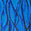 Thumbnail: Thirst for Blue