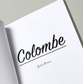 Titre du roman