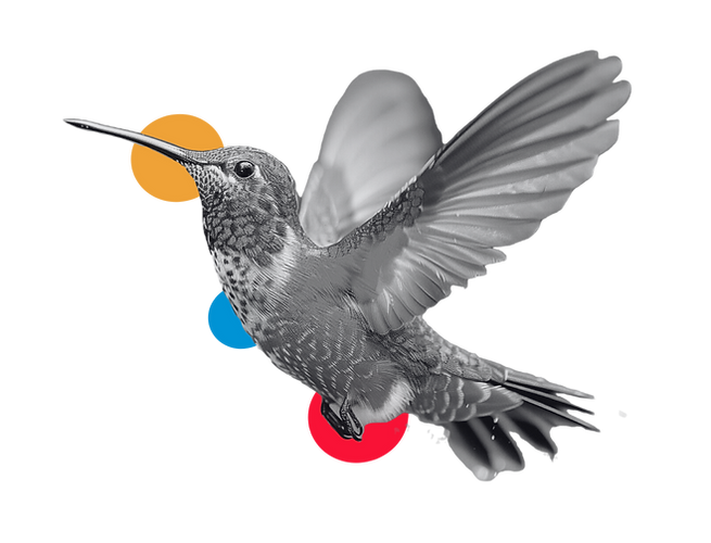 Portafolio (1).png