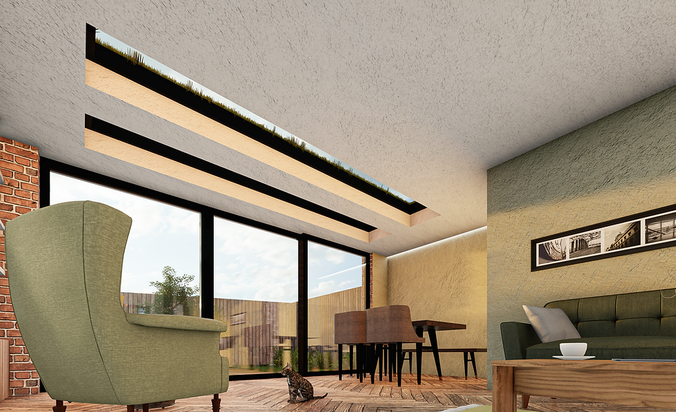 Taha & Co. - House Extension with Skylight Windows