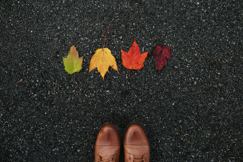 Different types of leaves
