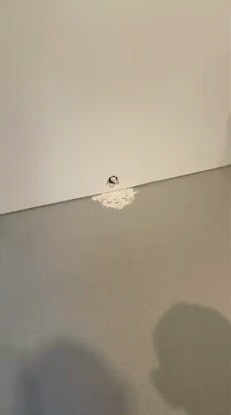 WhatsApp-Video-2026-03-28-at-14.21.25.gif