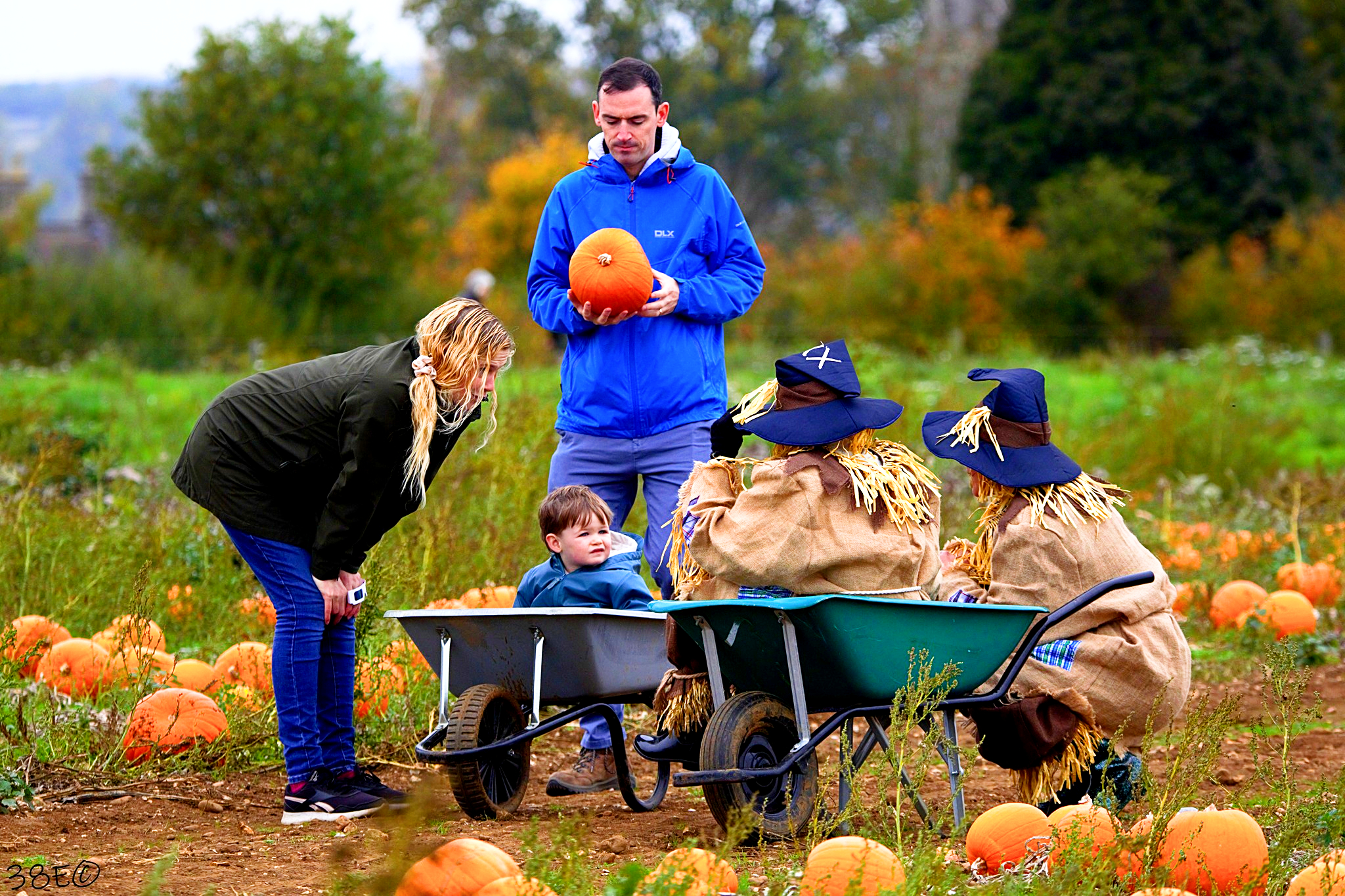 Families in the pumpkin patch with wheelbarrows_edited.jpg