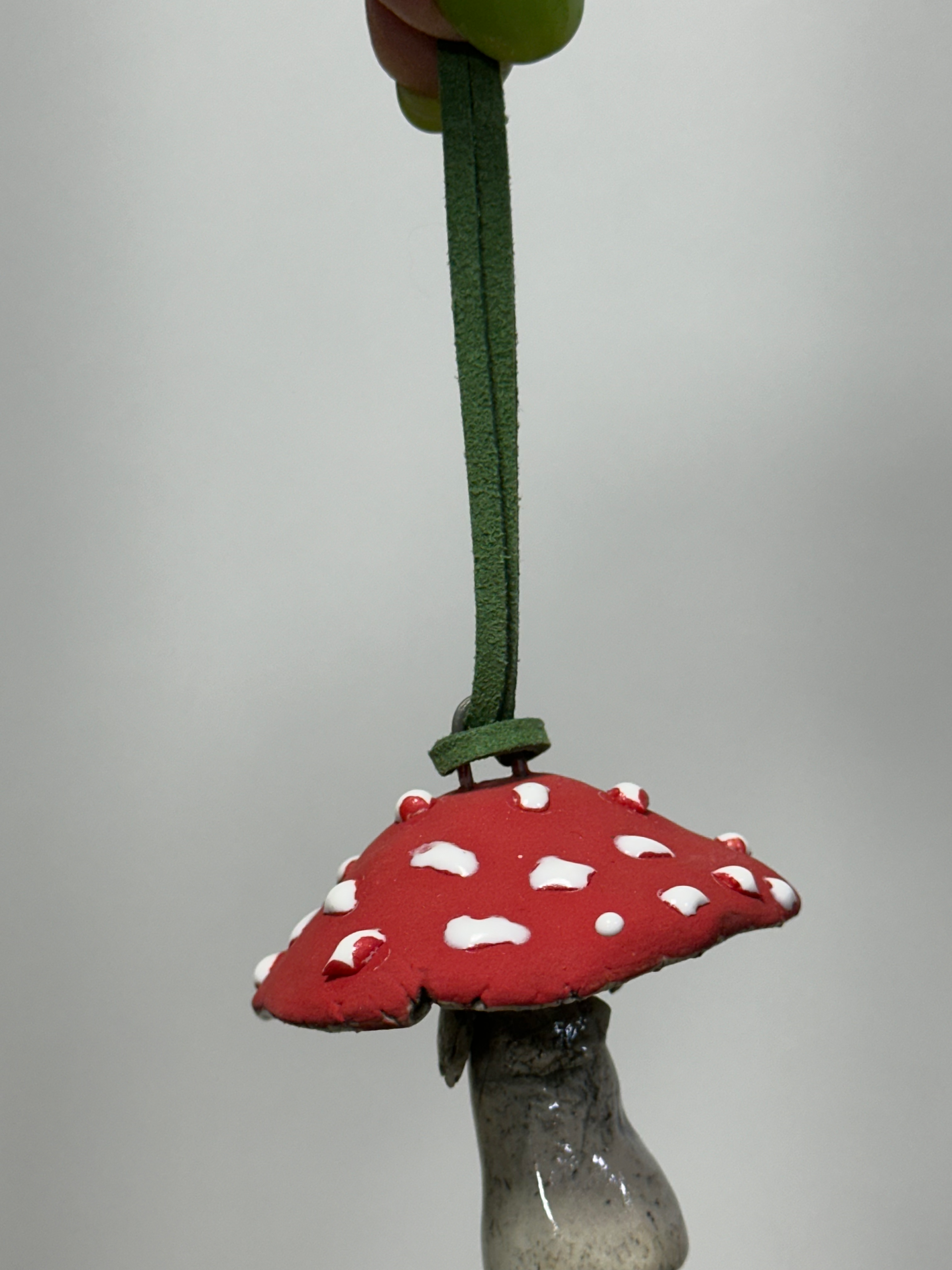 Christmas Mushroom - Amanita Muscaria
