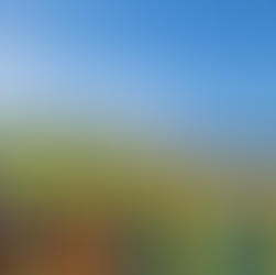 Serving Beyond Borders: The CSI & BC High Student Exchange, Immersion, and Service Trip 2024-2025