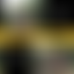 Leones en el "Math Challenge"