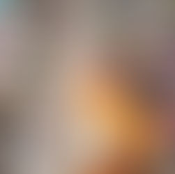 Raúl Ramos Rivera captura la esencia de nuestra identidad boricua