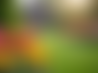 Benefits of Professional Property Maintenance Services