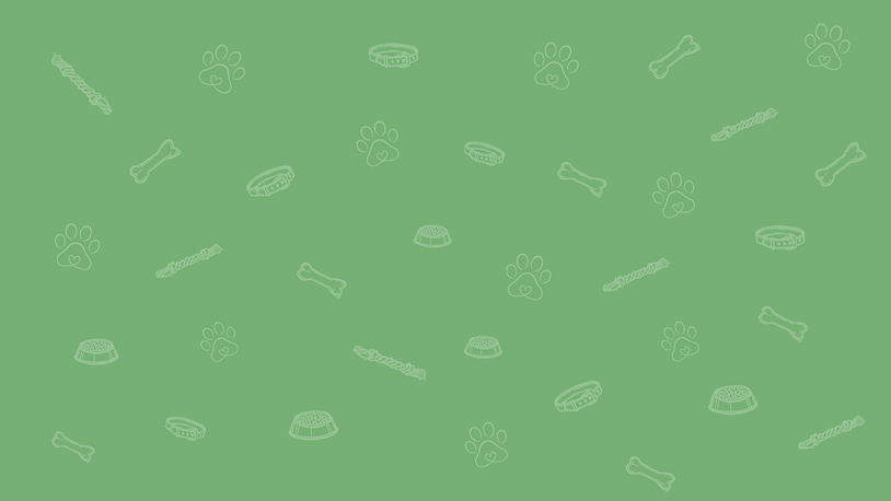 Background verde con blanco.png