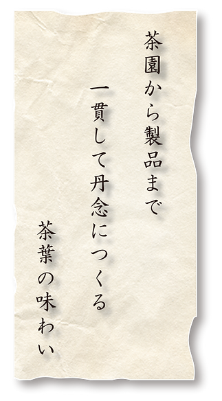 日比野製茶　こだわり　茶園から製品まで一貫して丹念につくる茶葉のあじわあじわい