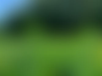 夏が過ぎました
