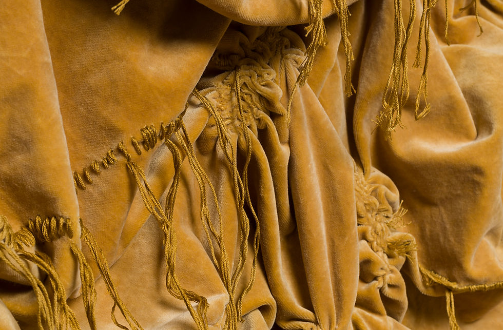 detalle 2 terciopelo ocre alta (1).jpg