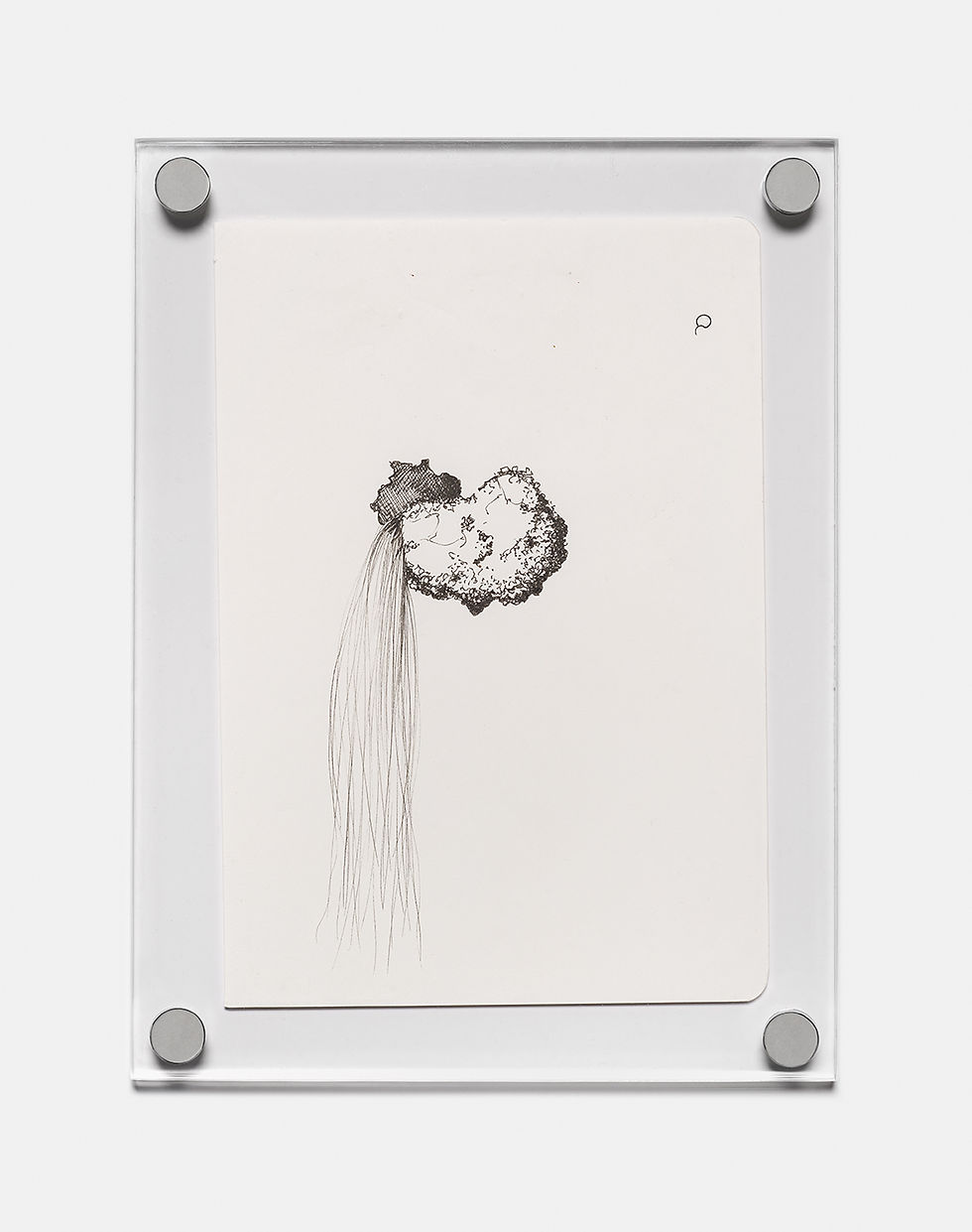 Geografías del terciopelo