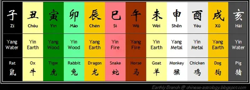 chineseastrology.webp